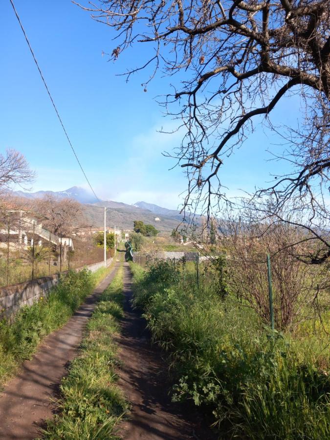 Вилла Etna Green House Цафферана-Этнея Экстерьер фото