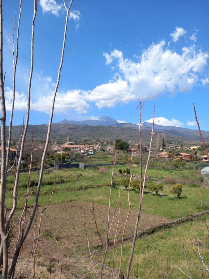 Вилла Etna Green House Цафферана-Этнея Экстерьер фото