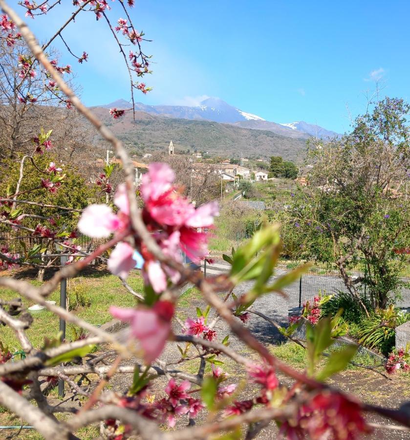 Вилла Etna Green House Цафферана-Этнея Экстерьер фото