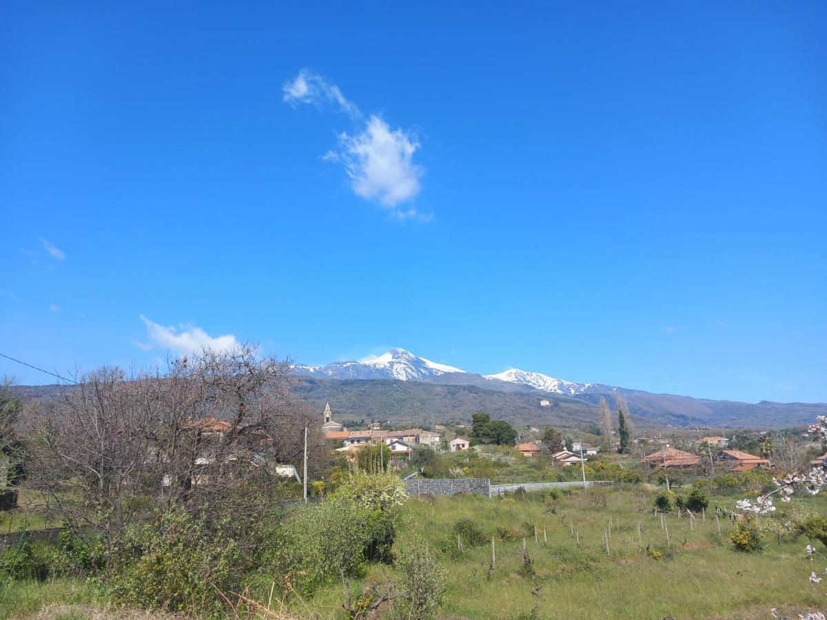 Вилла Etna Green House Цафферана-Этнея Экстерьер фото