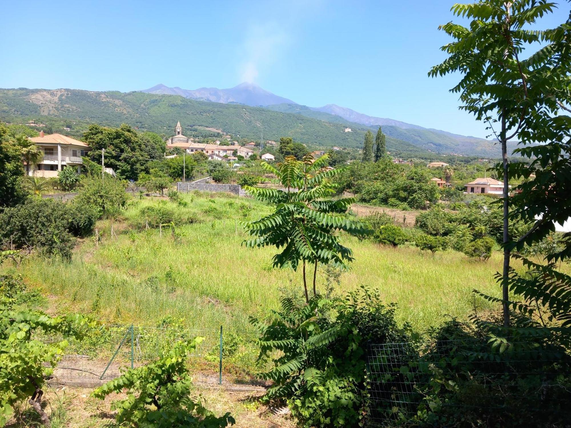 Вилла Etna Green House Цафферана-Этнея Экстерьер фото